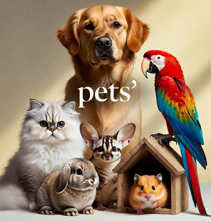 Pet Supplies